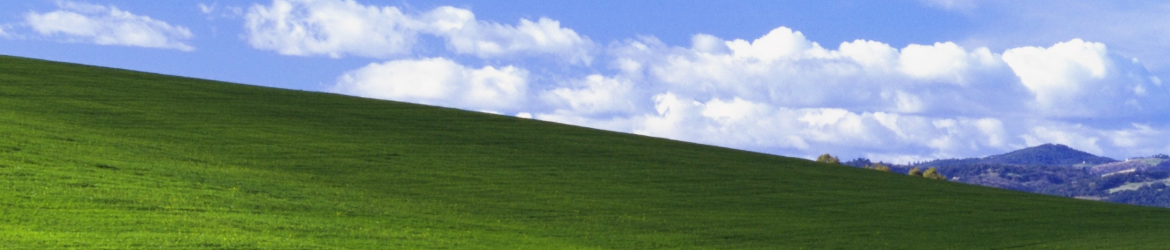 cropped-Foto-cabezera